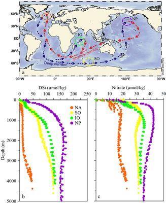 Role of Marginal Seas in Deep Ocean Regeneration of Dissolved Silica: A Case Study in the Marginal Seas of the Western Pacific